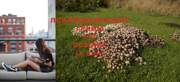 круглые Надым