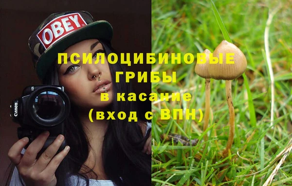 прущие грибы Навашино
