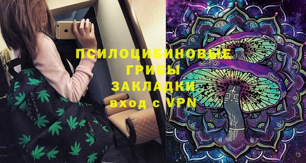 прущие грибы Навашино