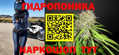 ПСИЛОЦИБИНОВЫЕ ГРИБЫ Обнинск