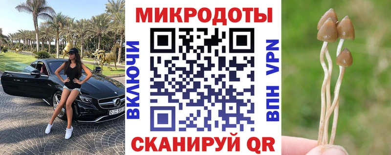 Галлюциногенные грибы Magic Shrooms  купить закладку  Старый Оскол 