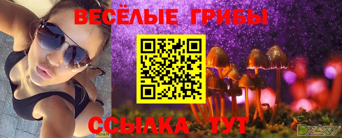Псилоцибиновые грибы мицелий  Вход с VPN  Старый Оскол 